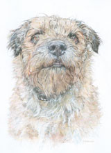 Pet Portraits by Kate Donohoe 2 Pet Portraits by Kate Donohoe 2