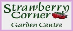 Logo - Strawberry Corner Logo - Strawberry Corner